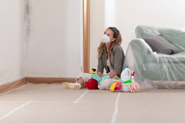 Reliable Mold Inspection And Testing contractor in Baltimore, MD by Car Mold Remediation